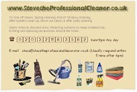 steve the professional cleaner 352991 Image 0